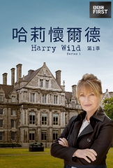 野探哈莉第一季