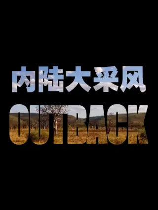 内陆大采风 内陆大采风